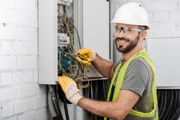 Best Electric Panel Repair  in Sheridan, IL