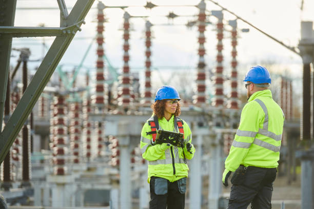 Best Electrical System Inspection  in Sheridan, IL