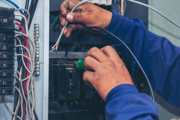 Best Home Electrical Repair  in Sheridan, IL